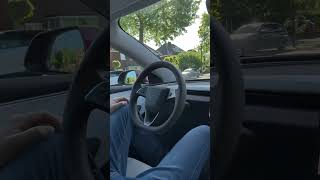 It’s A Beautiful Day For FSD! 😎☀️ #tesla #fsd #electric #cars #steeringwheel #elonmusk #shorts #nl