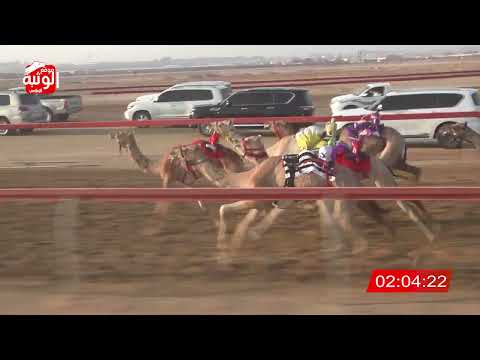 الشوط 11 الشايبه ل سعيد سيف بن شوط الخييلي 2 56 شارة الديوان 2024 09 20 حقايق سويحان