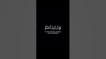 تلاوة عطرة للشيخ ماهر المعيقلي #القرآن_الكريم #كرومات #تلاوات #اكسبلور #راحة_نفسية #لايك #ترند #قرآن