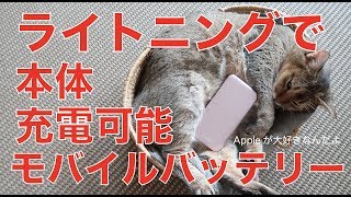 新製品をiPhone/iPad Proで試したのですが。。／ライトニングで本体を充電できるモバイルバッテリー BLUEDOT BMB-101P