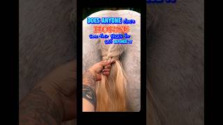 Download Lagu Funny Horses  #equestrian #horsegirl #funnyshorts #horsefacts #equinelove #fart #barnlife #horses MP3