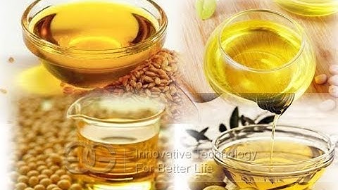 Sesame Oil Press Machine|Cocoa Oil Extractor Machine@gelgoog.com
