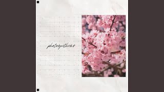 photosynthesis - pytal