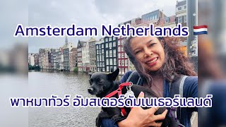 Ep.53 พาหมาเที่ยว อัมสเตอร์ดัม one day in Amsterdam Netherlands 🇳🇱 #dog #doglover #amsterdam