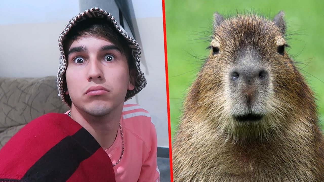 TENGAN CUIDADO CON ESTE VIDEO 🌵🌶🇦🇷