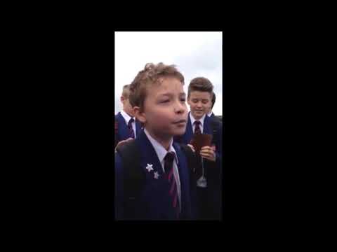 Shiver me timber’s (meme)