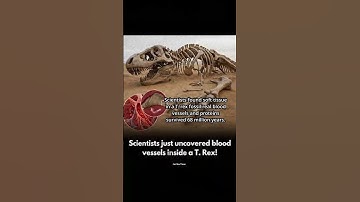 Rare Dinosaur Facts You Won’t Believe Exist🦖