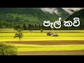 Pal Kawi පැල් කවි | Welyayaka වෙල්යායක ගොන් දෙන්නෙක් | Srilankan Folk #PalKawi #PalKavi #Pelkavi