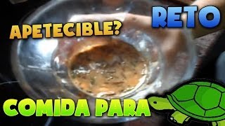 ¡Qué rica está la comida para Tortugas! | Reto MrTheNeox