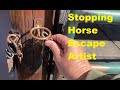 Horse Gate Locking &amp; Latches 101 - Outsmarting Those Escape Artist Horses