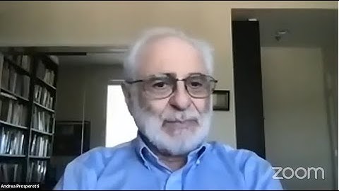 IJMF Spotlight V-Seminar Series: Taylor Bubbles: Faster, Dangerous, Unstable (Andrea Prosperetti)