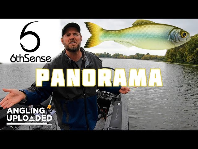 6th Sense PANORAMA - Most Realistic Softbait EVER? 