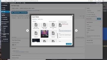 Audio player with Waves, ZoomSounds, codecanyon - add your own custom buttons with custom links