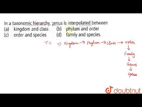 Video: Taksonomiskajā hierarhijā ģints ir interpolēta starp?