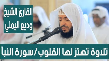 تلاوة تهتز لها القلوب سورة النبأ وديع اليمني Surat Al Nabaa