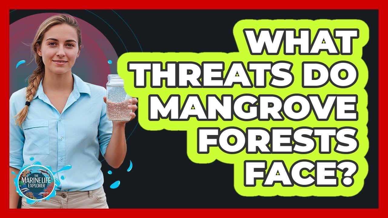 What Threats Do Mangrove Forests Face?