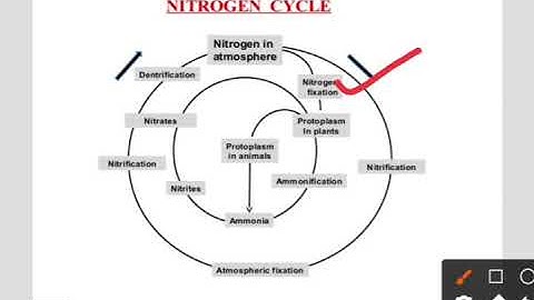 Biology class-9/Ch-14/Natural Resources/Part-4/(SEA)