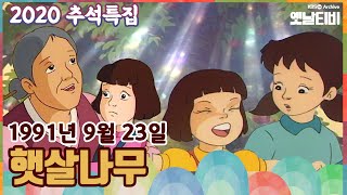 🌰🍚[2020추석특집] 햇살나무 KBS 910923 방송
