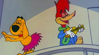 Download Lagu Woody Is Heading to Hawaii | Woody Woodpecker MP3 Download Lagu Woody Is Heading to Hawaii | Woody Woodpecker MP3