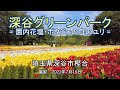 深谷グリーンパーク 園内花壇 ポタジェの庭のユリ 4K Fukaya Green Park Lilies In The Potager Garden 深谷グリーンパーク 園内花壇 ポタジェの庭のユリ 4K Fukaya Green Park Lilies In The Potager Garden