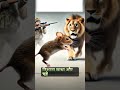 Rat and lion friendship 🫂🥺#ai #animatedcartoon #aicartoon