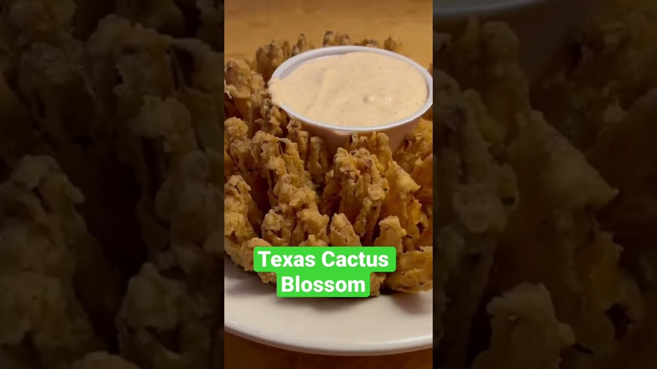 Texas Cactus Blossom, Texas Roadhouse, Champaign YouTube