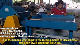 Banana stem Fiber Extraction Process Equipment/  chipping machine/Decorticator/ Brushing Machine