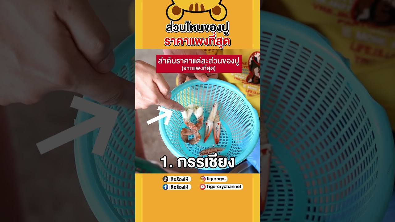 คุณคิดว่า ส่วนไหนของปูมีราคาแพงที่สุด ไปดูกัน!!! #เสือร้องไห้ #TigerShorts #shorts #ปูม้า #ชุมพร