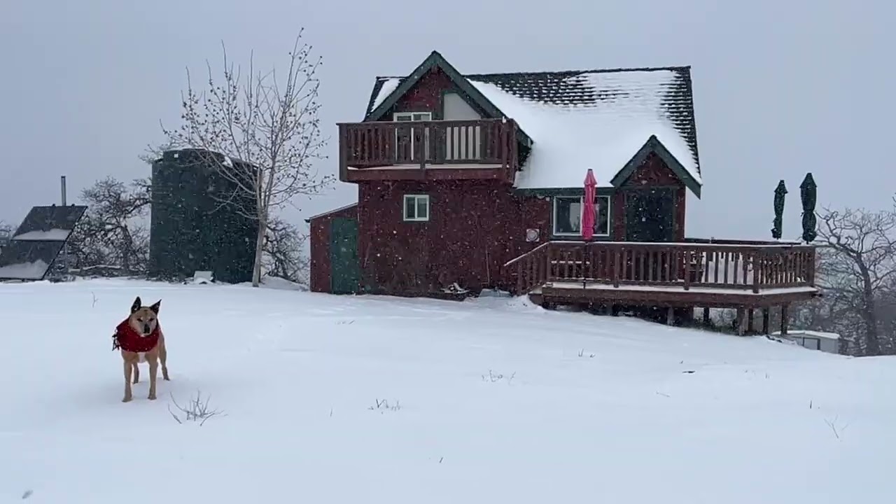 What a snow day in April 5, 2024