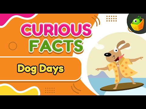 Dog Days | Dog Days Explained: Why Are They So Hot | 'Dog Days' Mean? A Fun Summer Science Lesson!
