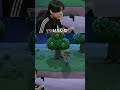 タランチュラの別名について #シャオメイ ＃あつもり ＃マイクラ