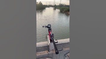 Làm quả này với cái điếu cầy nữa thì hết sẩy #caucagiaitri #marisfishing