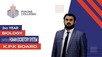 PGC Lectures-Inter Part 2-KPK Board-Biology-Chapter 15 - Human Excretory System