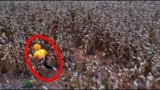 Famous 5 Scariest Videos Cought By Drones Profile