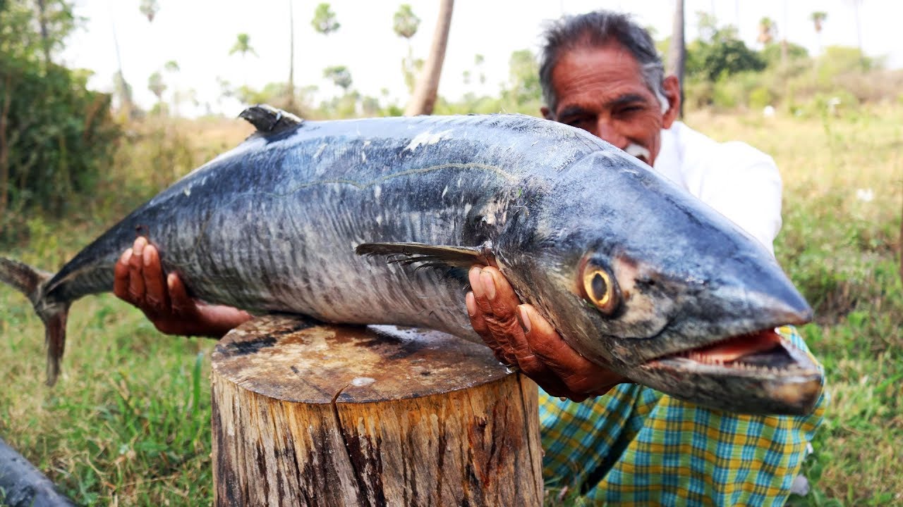 Giant Sea fish curry | World Biggest Fish Curry | How to cook Giant Fish Recipe | Grandpa Kitchen