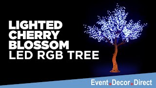 Edd Lighted Cherry Blossom Led Rgb Tree Resimi