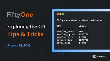 FiftyOne Computer Vision Tips and Tricks: Command Line Interface
