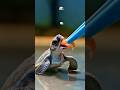 The Moment This Sea Turtle Hatchling Almost Didn't Make It #OceanRescue #Rescue