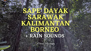 Lan E Tuyang (with rain sounds and thunder) - Sape dayak Borneo | Relaxing Calming Music | 30 mins