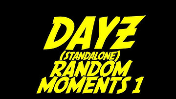 DayZ StandAlone - Random Moments 1