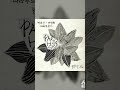 박효신 - 야생화. 따라부르기