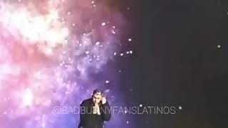 Bad Bunny - La Canción (En Vivo) Movistar Arena 2019