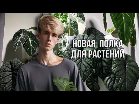 🌟КАК СДЕЛАТЬ ИДЕАЛЬНОЕ МЕСТО ДЛЯ РАСТЕНИЙ НА СТЕЛЛАЖЕ?🤤🌵👏