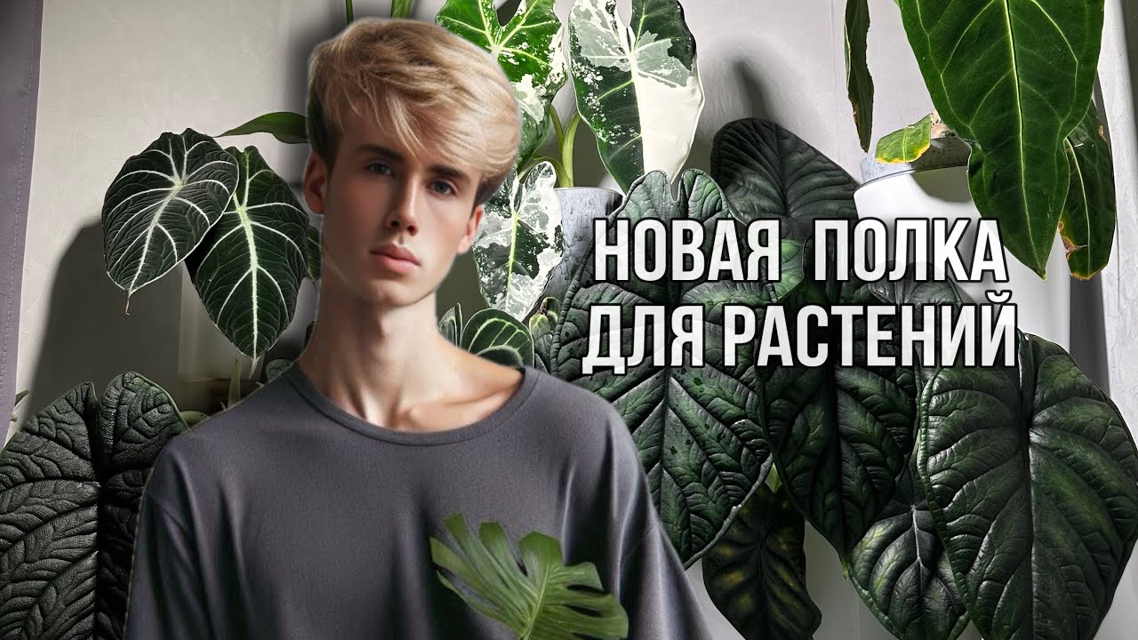 🌟КАК СДЕЛАТЬ ИДЕАЛЬНОЕ МЕСТО ДЛЯ РАСТЕНИЙ НА СТЕЛЛАЖЕ?🤤🌵👏