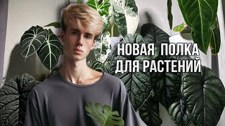 видео: 🌟КАК СДЕЛАТЬ ИДЕАЛЬНОЕ МЕСТО ДЛЯ РАСТЕНИЙ НА СТЕЛЛАЖЕ?🤤🌵👏 картинка: 🌟КАК СДЕЛАТЬ ИДЕАЛЬНОЕ МЕСТО ДЛЯ РАСТЕНИЙ НА СТЕЛЛАЖЕ?🤤🌵👏