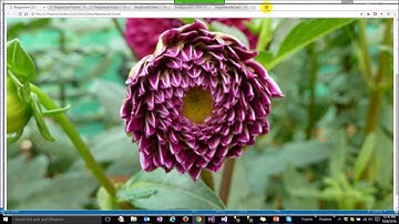 SUG Bangalore - Sitecore Responsive Website Imagery Support
