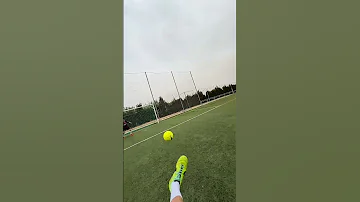 What The BUG Saw Latopera Halamadrid 