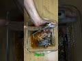 30Bore zigana pistol 🔫 #shortvideo #shortsviral #shots #viralvideo #video #viral #videos #foryou