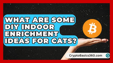 What Are Some DIY Indoor Enrichment Ideas for Cats? | Happy Cat Handbook