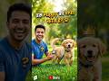 Ye puppy ke papa hai 😂🔥| Indian comedy video funny #shorts #shortsfeed #funny #comedy